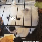 Dog wants sub | Me; "Sorry, that username has already been taken"; A cool username | image tagged in dog wants sub | made w/ Imgflip meme maker