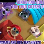 HISSY IS ONE SEXXAAAAIYYY LASSSSSSSSSST | BINGO AND ROLLY, THE TWO CUTEST PUGS, WITH PLAYMATE AND HOT, SEXY HISSY!!🤩😍🤑😎 | image tagged in hissy is one sexxaaaaiyyy lasssssssssst | made w/ Imgflip meme maker