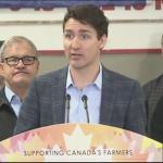 Trudeau and his backdrop minions