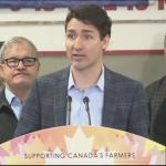 Trudeau and his backdrop minions