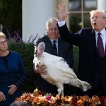Trump Negotiates With Turkey