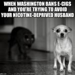 Day 4: The closet has been a cozy home so far. | WHEN WASHINGTON BANS E-CIGS AND YOU’RE TRYING TO AVOID YOUR NICOTINE-DEPRIVED HUSBAND | image tagged in paranoid,memes,funny,juul,e-cigarettes,state of washington | made w/ Imgflip meme maker