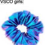 VSCO girls be like | Nobody:
VSCO girls: | image tagged in blurred scrunchie | made w/ Imgflip meme maker