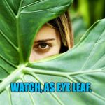 Green | WATCH, AS EYE LEAF. | image tagged in funny | made w/ Imgflip meme maker