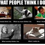 What People Think I Do Meme Generator Imgflip