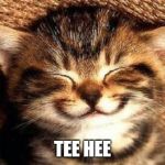smiling kitten | TEE HEE | image tagged in smiling kitten | made w/ Imgflip meme maker