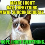 An introspective Grumpy Cat | MAYBE I DON’T HATE EVERYTHING. MAYBE SUBCONSCIOUSLY... NOPE, I HATE EVERYTHING. | image tagged in introspective grumpy cat,memes,funny | made w/ Imgflip meme maker