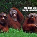 laughing orangutans | AND THEN SHE SAID “DOES MY HAIR MAKE ME LOOK FAT?” | image tagged in laughing orangutans | made w/ Imgflip meme maker