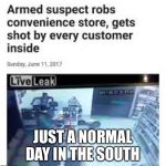 R/Therewasanattempt | JUST A NORMAL DAY IN THE SOUTH | image tagged in r/therewasanattempt | made w/ Imgflip meme maker