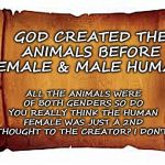 Paper Scroll | GOD CREATED THE ANIMALS BEFORE FEMALE & MALE HUMANS; ALL THE ANIMALS WERE OF BOTH GENDERS SO DO YOU REALLY THINK THE HUMAN FEMALE WAS JUST A 2ND THOUGHT TO THE CREATOR? I DON'T! | image tagged in paper scroll | made w/ Imgflip meme maker