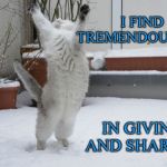 Cat Dance joy | I FIND TREMENDOUS JOY; IN GIVING AND SHARING | image tagged in cat dance joy | made w/ Imgflip meme maker