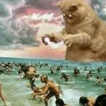 Cat terrorizing beach meme