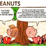 Peanuts Red Vs. Blue | YOU EVER WONDER WHY WE'RE HERE? IT'S ONE OF LIFE'S GREAT MYSTERIES, ISN'T IT? WHY ARE WE HERE? I MEAN, ARE WE THE PRODUCT OF SOME COSMIC COI | image tagged in peanuts charlie brown peppermint patty,red vs blue,rvb,why are we here | made w/ Imgflip meme maker