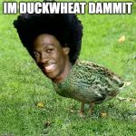 Duckith Wheatith | IM DUCKWHEAT DAMMIT | image tagged in duckith wheatith | made w/ Imgflip meme maker