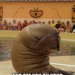 Guilty Walrus | WHEN YOUR PARENTS COME DOWNSTAIRS; AND SEE YOU ON YOUR 5TH BAG OF SHREDDED CHEESE | image tagged in guilty walrus | made w/ Imgflip meme maker