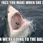 Shark Week | THAT FACE YOU MAKE WHEN SHE SAYS; HUN WE’RE GOING TO THE BALLET | image tagged in shark week,memes,funny,relationship status,true story bro | made w/ Imgflip meme maker