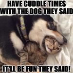 IT'LL BE FUN | HAVE CUDDLE TIMES WITH THE DOG THEY SAID; IT'LL BE FUN THEY SAID! | image tagged in it'll be fun | made w/ Imgflip meme maker