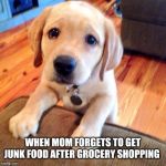 Puppy dog eyes | WHEN MOM FORGETS TO GET JUNK FOOD AFTER GROCERY SHOPPING | image tagged in puppy dog eyes | made w/ Imgflip meme maker