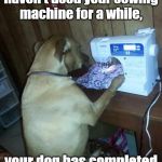 Sewing Dog | Signs that you haven't used your sewing machine for a while, your dog has completed more projects than you. | image tagged in sewing dog | made w/ Imgflip meme maker