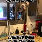 Dog in window | BRUH YOU DIDN’T HEAR ME BARKIN... I TRIED TO WARN U, THE REPO MAN DONE GOT YO SHIT & GONE | image tagged in dog in window | made w/ Imgflip meme maker