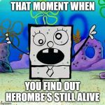 doodlebob | THAT MOMENT WHEN; YOU FIND OUT HEROMBE'S STILL ALIVE | image tagged in doodlebob | made w/ Imgflip meme maker