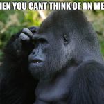 Gorilla Scratching Head | WHEN YOU CANT THINK OF AN MEME | image tagged in gorilla scratching head | made w/ Imgflip meme maker