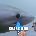 Shark u ok | SHARK U OK
? | image tagged in shark u ok | made w/ Imgflip meme maker