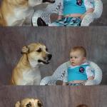 Dog and Baby meme