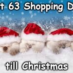 christmas | Just 63 Shopping Days; till Christmas | image tagged in christmas | made w/ Imgflip meme maker