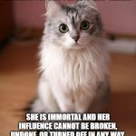 Got the idea from Tumblr | THIS IS THE IMMUNITY CAT OF IMGFLIP. SHE WILL PROTECT YOU FROM THE EFFECTS OF "X BAD THING WILL HAPPEN IF YOU DON'T UPVOTE THIS" MEMES. SHE IS IMMORTAL AND HER INFLUENCE CANNOT BE BROKEN, UNDONE, OR TURNED OFF IN ANY WAY.
YOU DON'T HAVE TO UPVOTE OR SHARE THIS IMAGE TO BE UNDER HER PROTECTION, YOU ONLY HAVE TO SEE THIS. | image tagged in cute cat memes,immunity cat | made w/ Imgflip meme maker