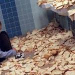 breadophobia