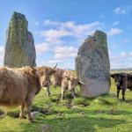 The Standing Stones meme