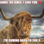 Going through the stones2 | JAMIE, OH JAMIE, I LOVE YOU  ❤️; I’M COMING BACK TO YOU !! | image tagged in going through the stones2 | made w/ Imgflip meme maker