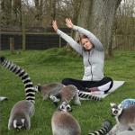 Lemur Yoga