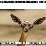 gazelle | ANIMALS IN DOCUMENTARIES BEING HUNTED:; WHY ARE THEY EDITING IN THIS INTENSE MUSIC | image tagged in gazelle | made w/ Imgflip meme maker