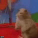 Surprised chipmunk GIF Template