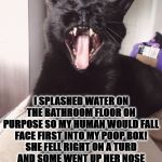 PRANKSTER | I SPLASHED WATER ON THE BATHROOM FLOOR ON PURPOSE SO MY HUMAN WOULD FALL FACE FIRST INTO MY POOP BOX! SHE FELL RIGHT ON A TURD AND SOME WENT UP HER NOSE AND AFTER SHE PUKED SHE HAD TO BLOW MY POOP OUT OF HER NOSE! | image tagged in prankster | made w/ Imgflip meme maker