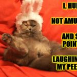 NOT AMUSED | I, HUMAN, AM NOT AMUSED! AND STOP POINTING AND LAUGHING AT MY PEE PEE! | image tagged in not amused | made w/ Imgflip meme maker