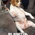 Dog drinking wine | WIFE: I’M HOME; ME: HONEY I’M IN THE BED ROOM | image tagged in dog drinking wine | made w/ Imgflip meme maker
