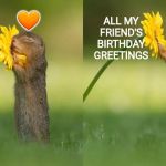 Squirrel smells a flower | 🧡; ALL MY FRIEND'S BIRTHDAY GREETINGS; ME | image tagged in squirrel smells a flower | made w/ Imgflip meme maker