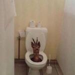Summoning Toilet Deer