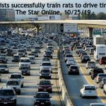 LA Traffic Jam | "Scientists successfully train rats to drive tiny cars"
The Star Online, 10/25/19 | image tagged in la traffic jam | made w/ Imgflip meme maker