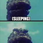 Godzilla reaction | (SLEEPING); WHAT? | image tagged in godzilla reaction | made w/ Imgflip meme maker