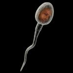 My First Baby Picture