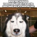 Skeptical Dog | When you click "See translation" just for it to say the same thing just in a different font: | image tagged in skeptical dog | made w/ Imgflip meme maker