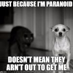 Paranoid | JUST BECAUSE I'M PARANOID; DOESN'T MEAN THEY ARN'T OUT TO GET ME | image tagged in paranoid,random,people,government | made w/ Imgflip meme maker