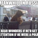 Racism for city bear | MEANWHILE IN RUSSIA; CITY BEAR WONDERS IF HE'D GET THIS MUCH ATTENTION IF HE WERE A POLAR BEAR | image tagged in memes,city bear,racism,meanwhile in russia | made w/ Imgflip meme maker