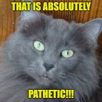 pathetic | THAT IS ABSOLUTELY; PATHETIC!!! | image tagged in pathetic | made w/ Imgflip meme maker