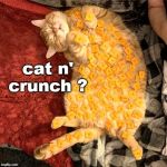 any ideas for a name for a cat like this ? cheezy,crackers,cheeto tail, fang face mccheddersmith ? | cat n' crunch ? | image tagged in cat n crackers,boredom,snacks,cheese time,meme ed | made w/ Imgflip meme maker