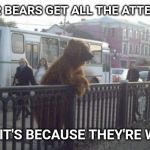 Colored bears are lonely. | POLAR BEARS GET ALL THE ATTENTION; I BET IT'S BECAUSE THEY'RE WHITE | image tagged in memes,city bear | made w/ Imgflip meme maker